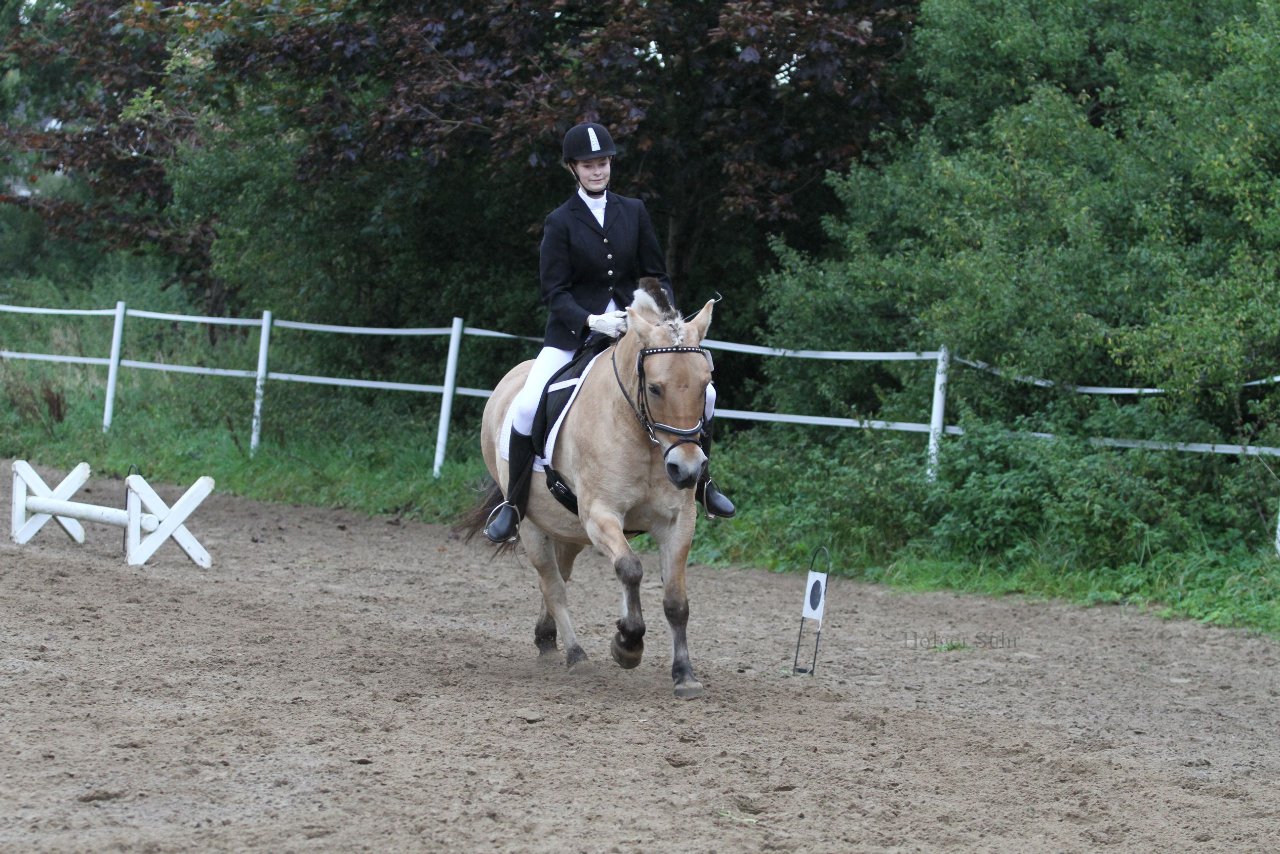 Bild 417 - WBO-Turnier am 18.9.11